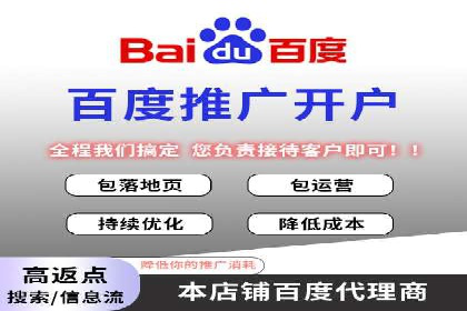 不同平台的SEM广告投放比较及成功案例分析